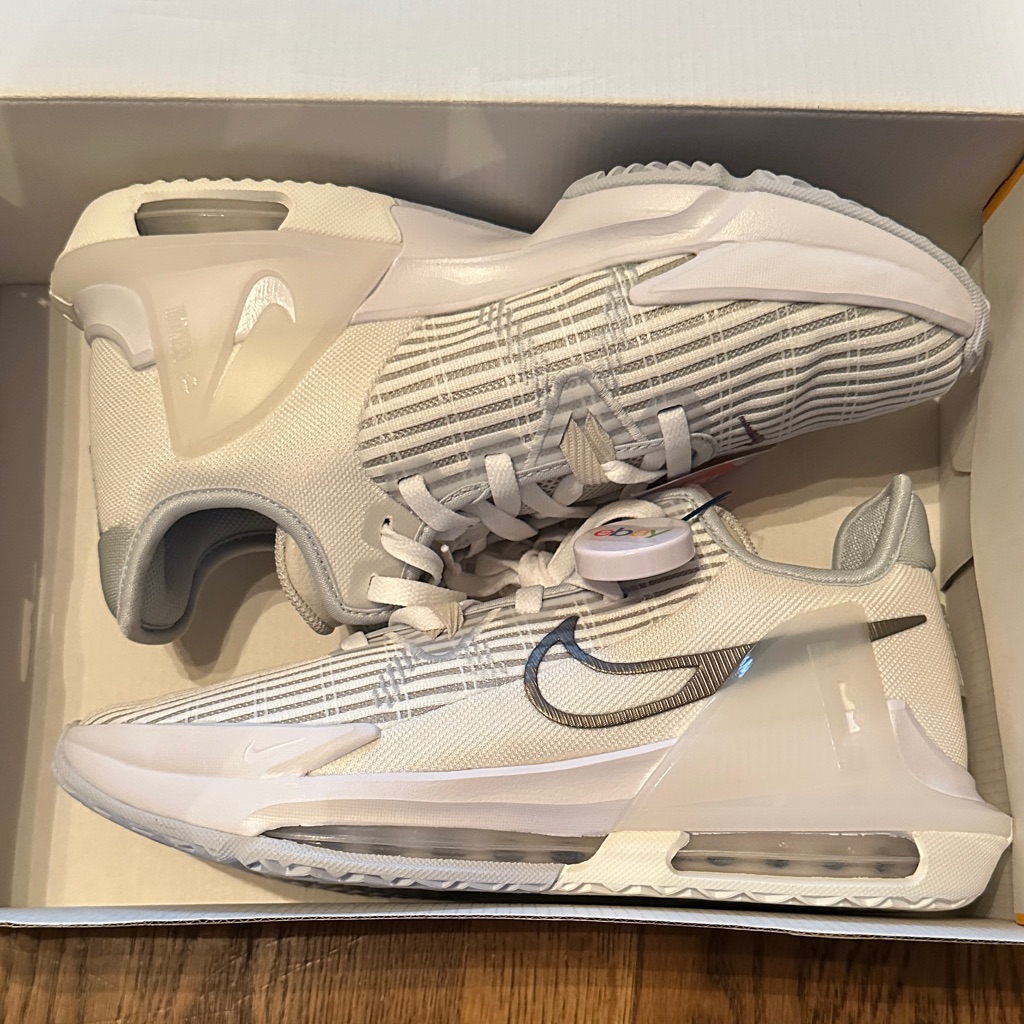 Lebron Witness Vi Basketball Shoe Summit White And Pewter Brand New W/Tags